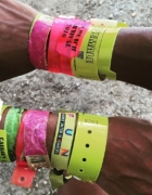 Where To Fete For Miami Carnival 2016