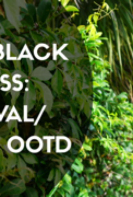 Backless Little Black Dress