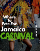 Carnival SwimWear Lookbook