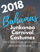 Everything You NEED to Know About Costume Collection