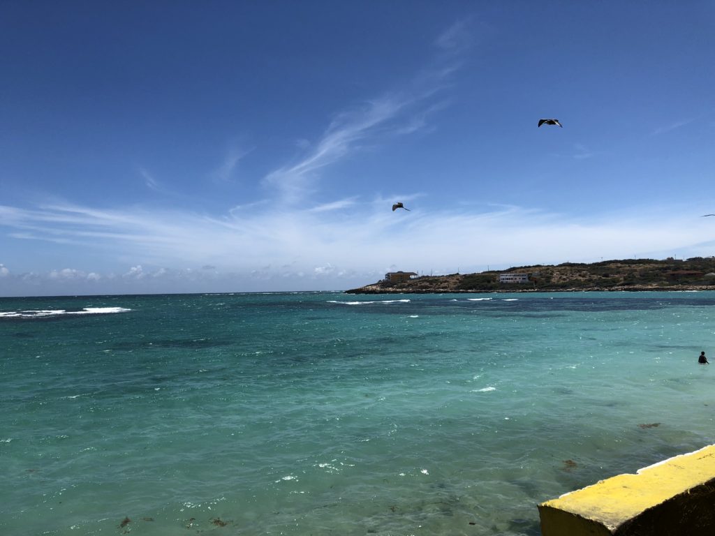 carnival in jamaica