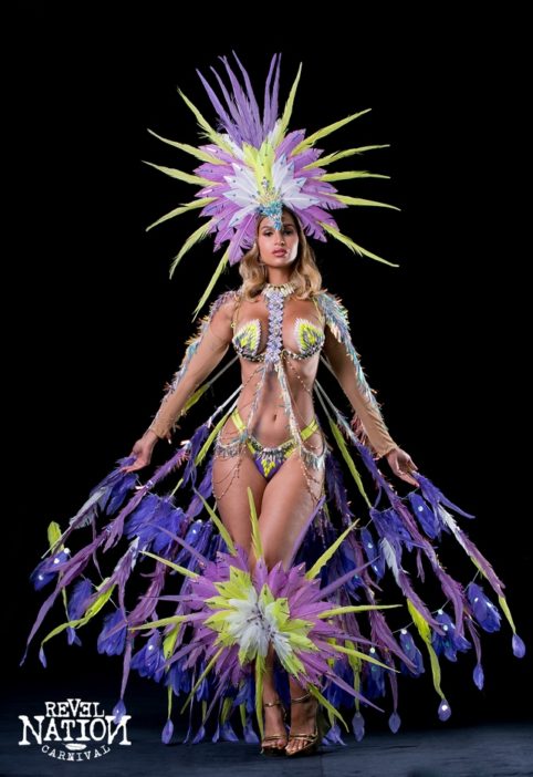 miami carnival costume