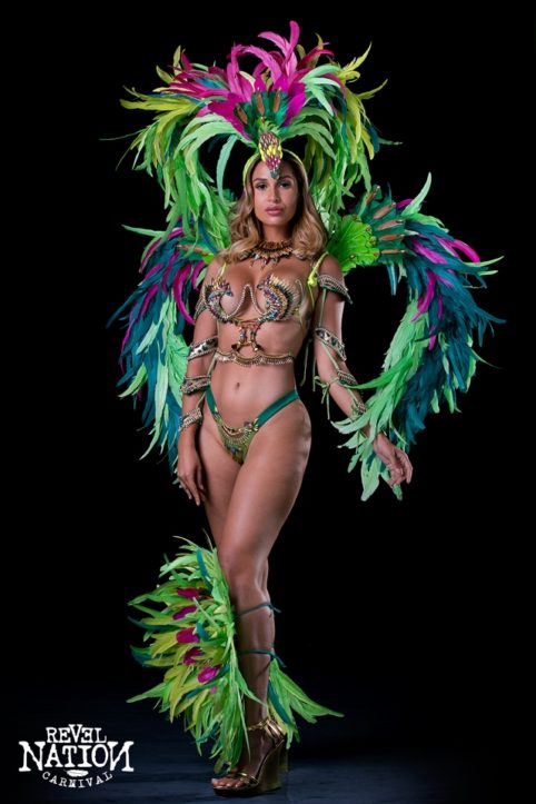 miami carnival costume