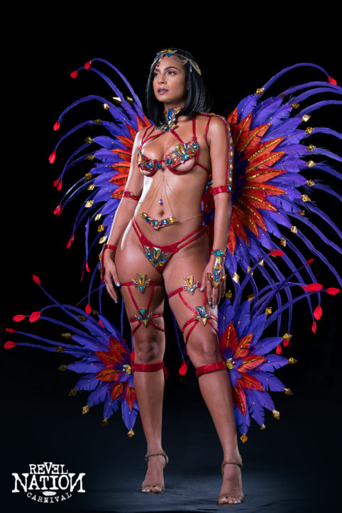 miami carnival costumes