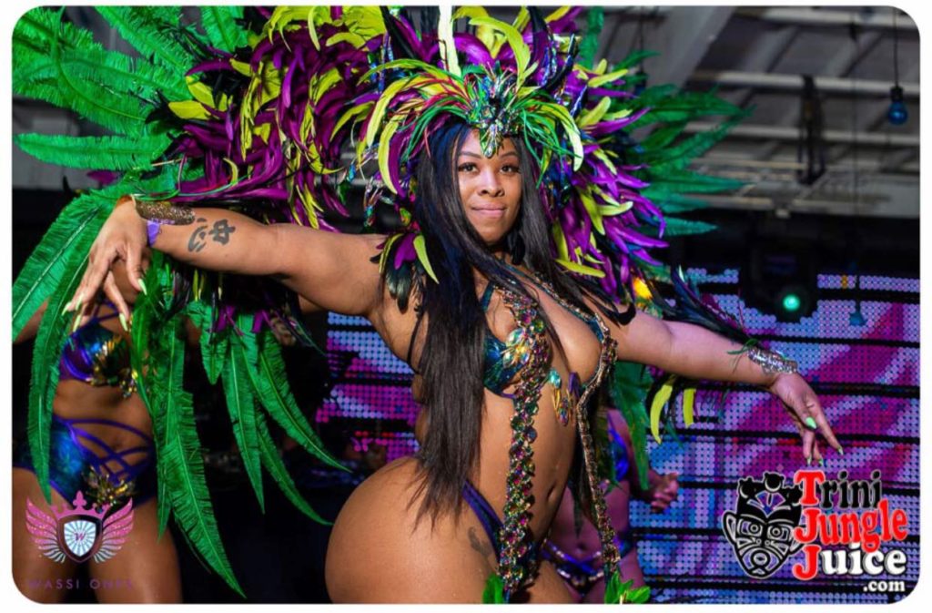 miami carnival costume