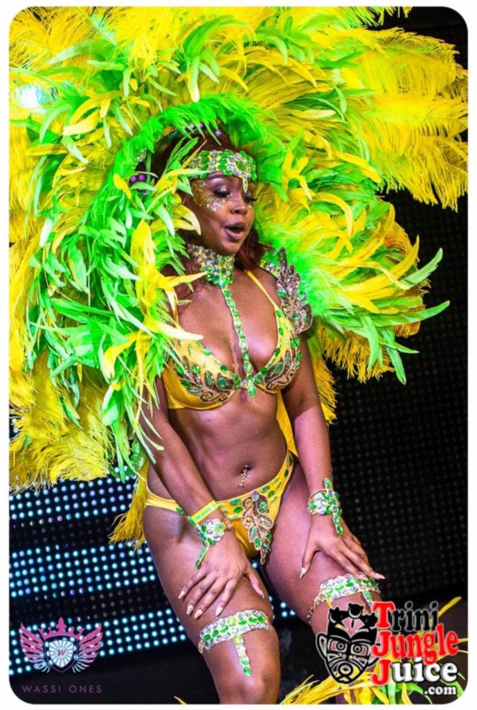 miami carnival costume