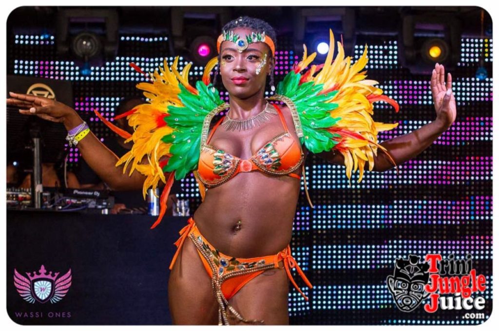 miami carnival costume