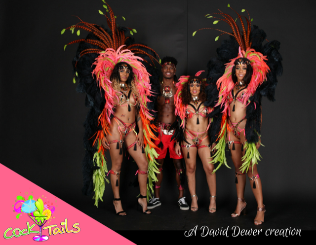 miami carnival costume