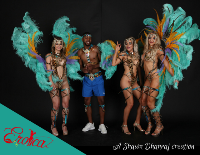 miami carnival costume