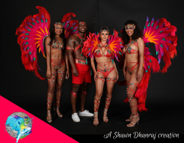 miami carnival costume