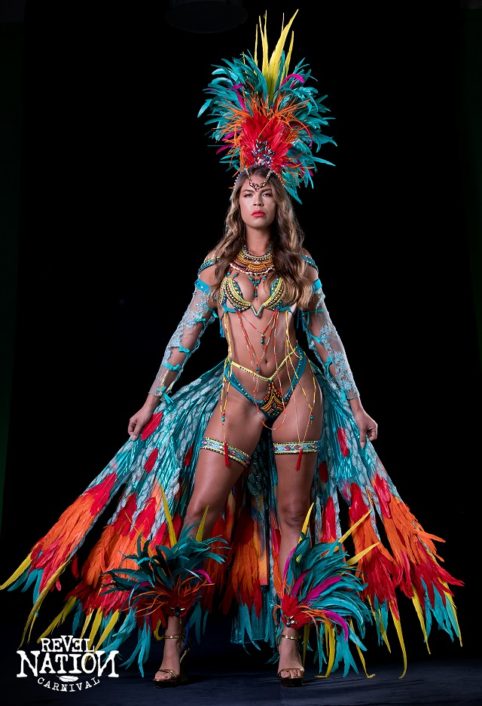 miami carnival costume