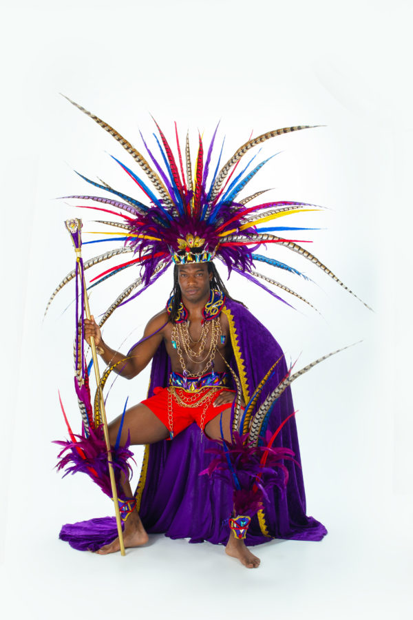 miami carnival costume