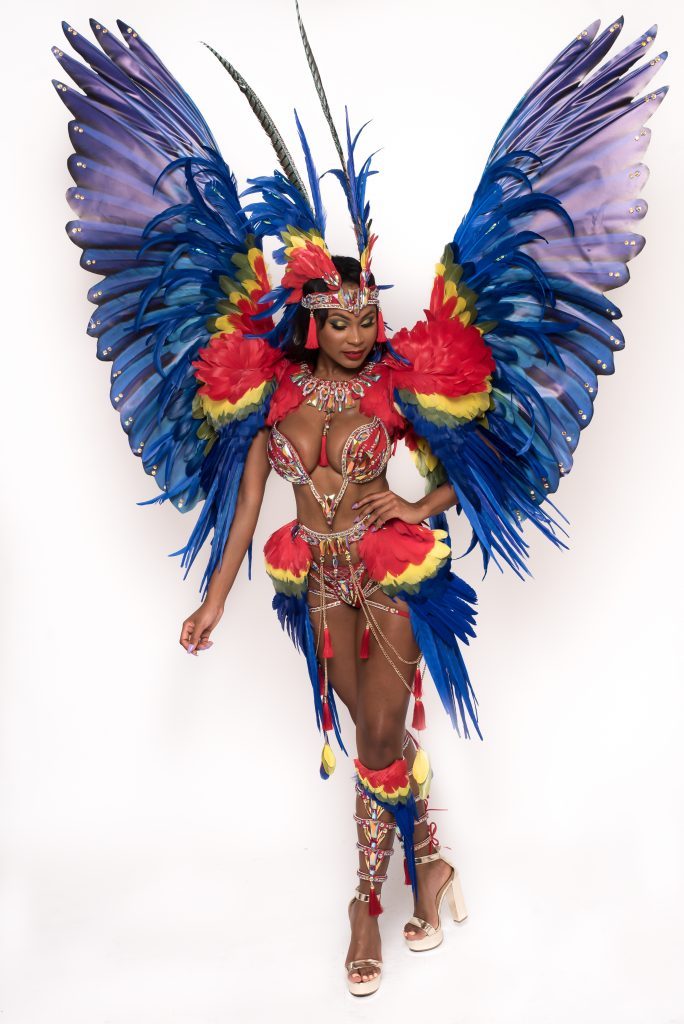 miami carnival costume