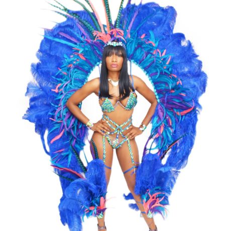 miami carnival costume