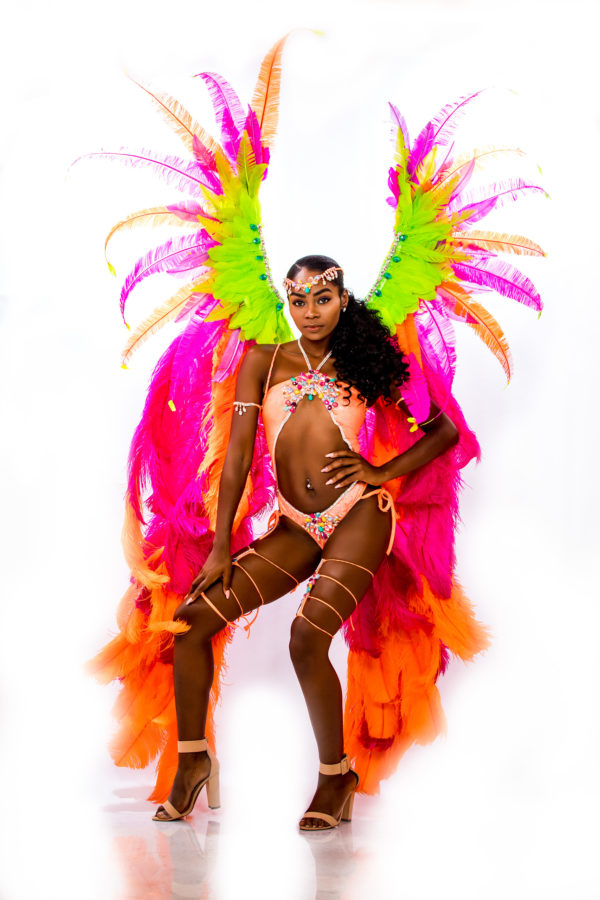 miami carnival costume