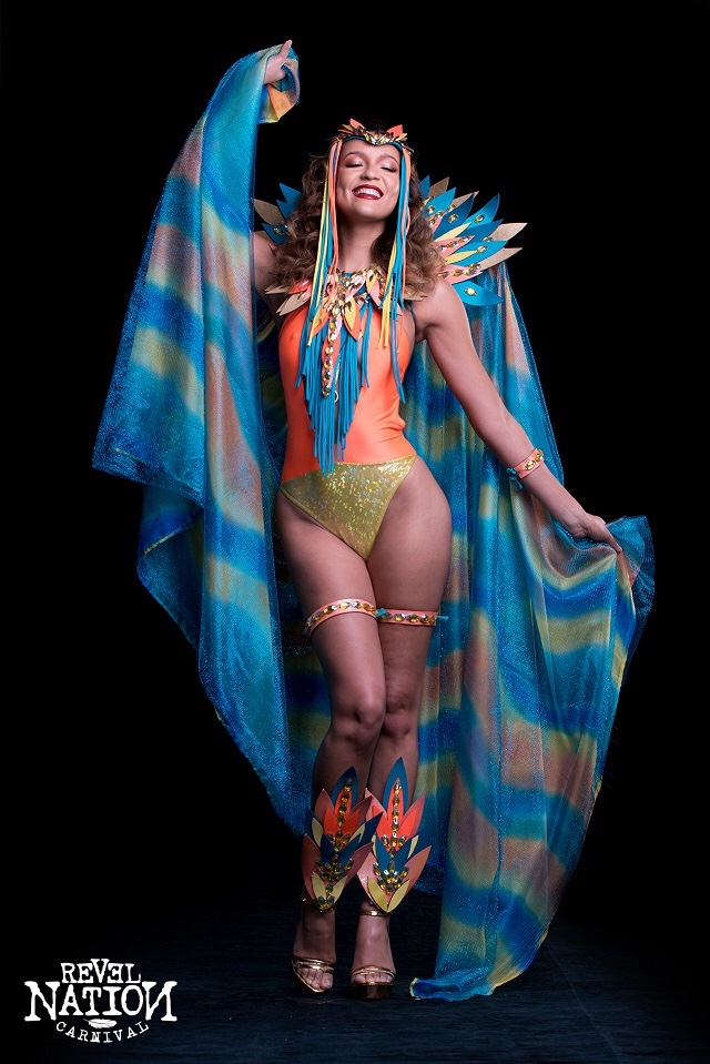 miami carnival costume