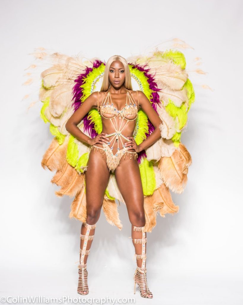 miami carnival costume