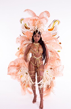 miami carnival costume