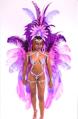 miami carnival costume