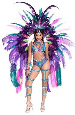 miami carnival costume