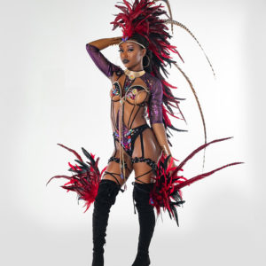 miami carnival costume