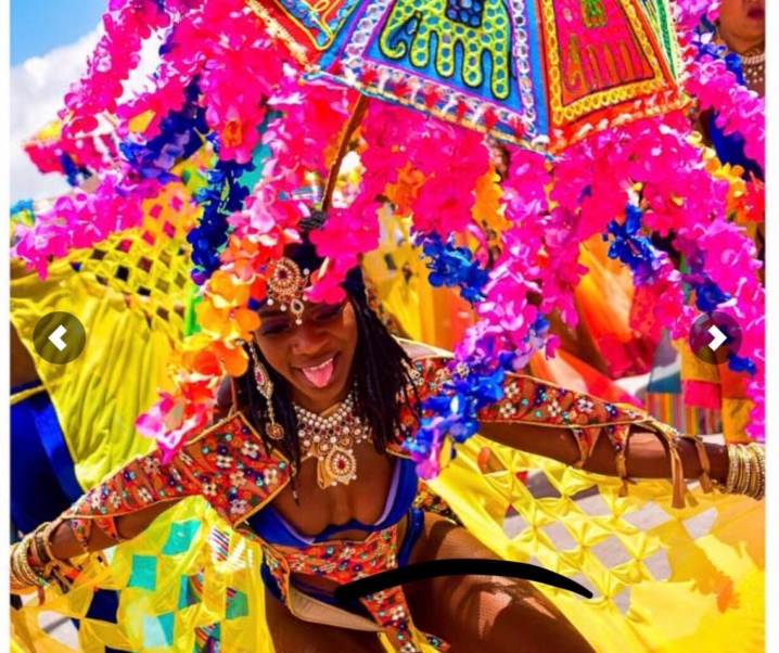 Carnival: Project Wire Bra - Bahamianista
