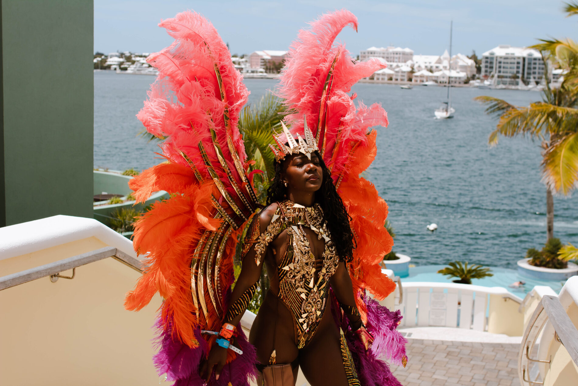 Carnival For Beginners: Choosing A Carnival Band