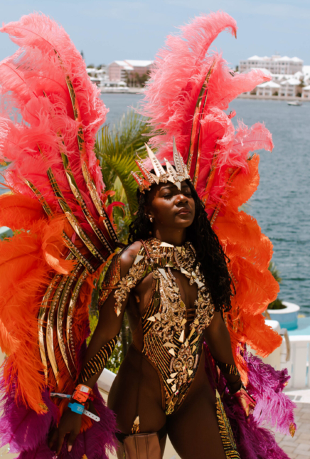 Carnival For Beginners: Choosing A Carnival Band