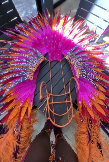 How To Travel With Your Carnival Costume