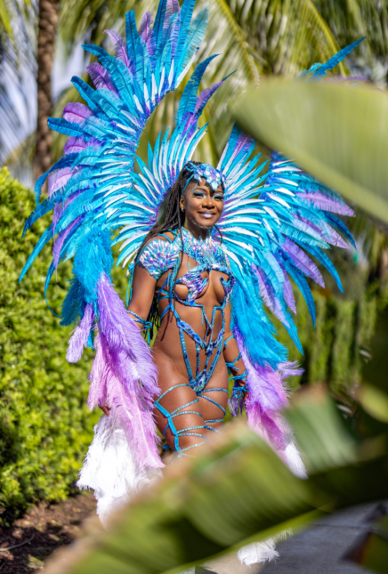 EveryThing You Need To Know About Miami Carnival 2026
