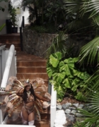 The Best Nassau Bahamas Excursions To Do On A Cruise Stop in 2024